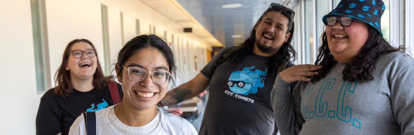 The Comet Promise - Banner Logo