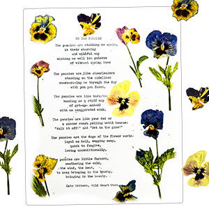 poem and flowers