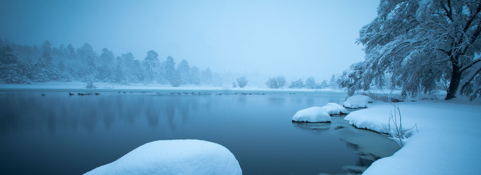 Landscape Photograph